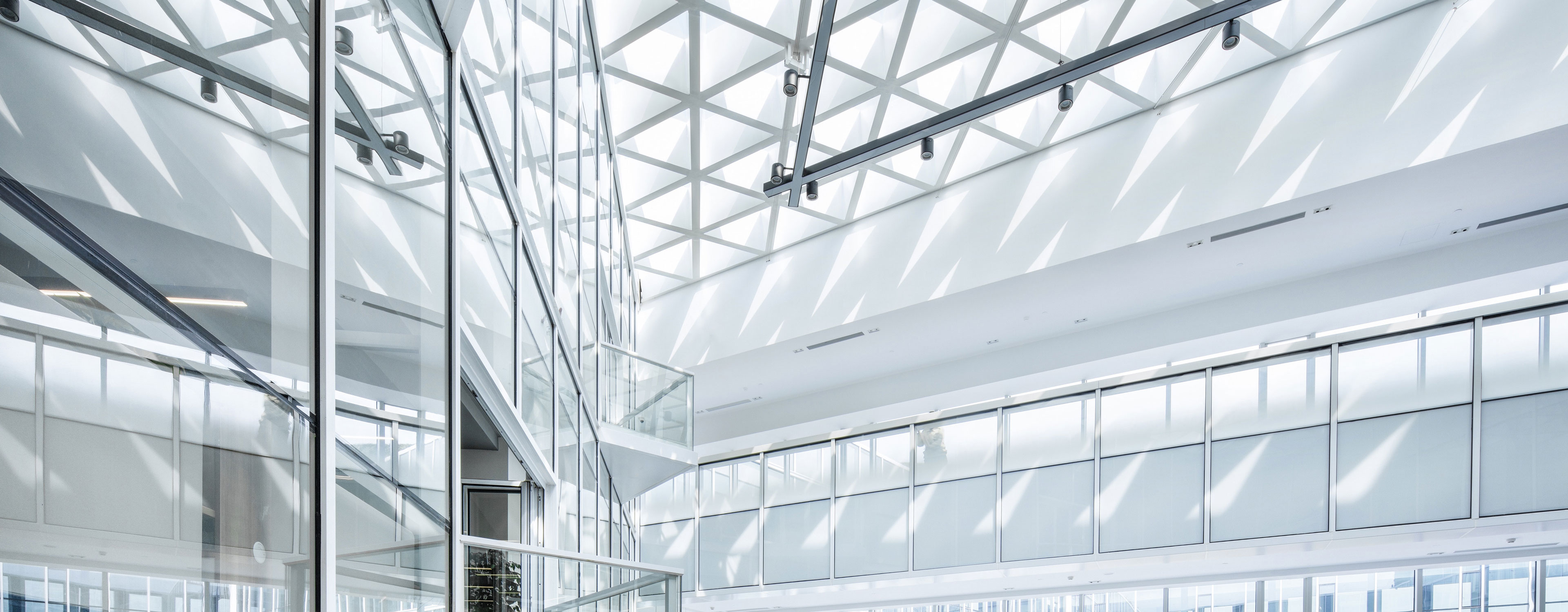 GWT Dresden - Projektberatung 