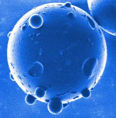 Einblick in die Nanowelt